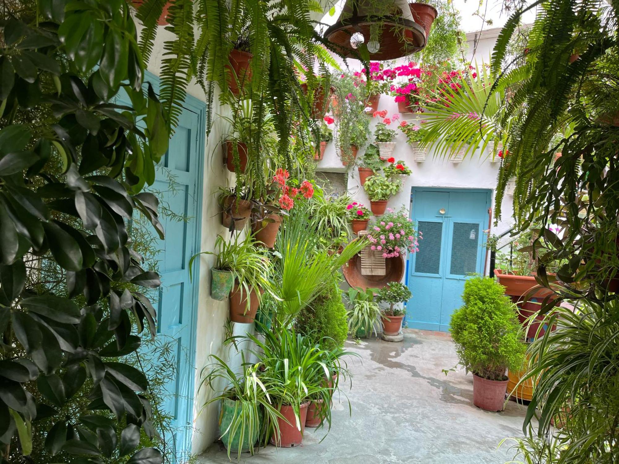 Apartamento La Muralla Вехер-де-ла-Фронтера Екстер'єр фото